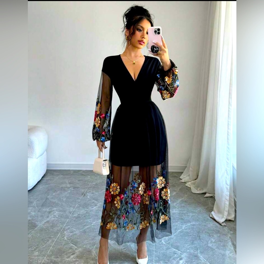 Rafferiza Women Embroidered Mesh V-Neck Lantern Sleeve A-Line Dress LIKE NEW